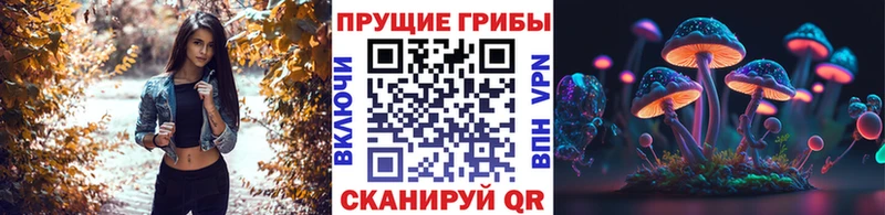 Псилоцибиновые грибы Psilocybine cubensis  Шадринск 